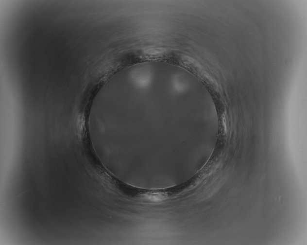 X0000102510711200808081410