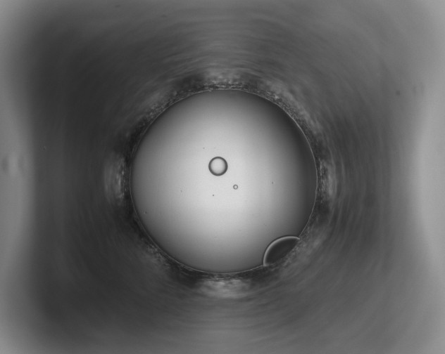 X0000102510712200808081410