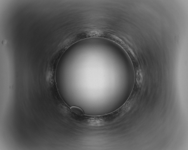 X0000102510714200808081410