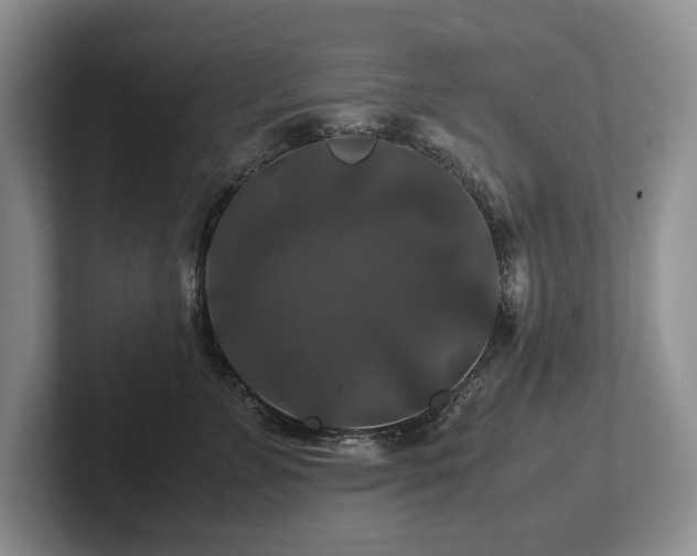 X0000102510715200808081410