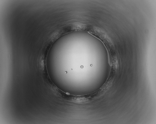 X0000102510716200808081410