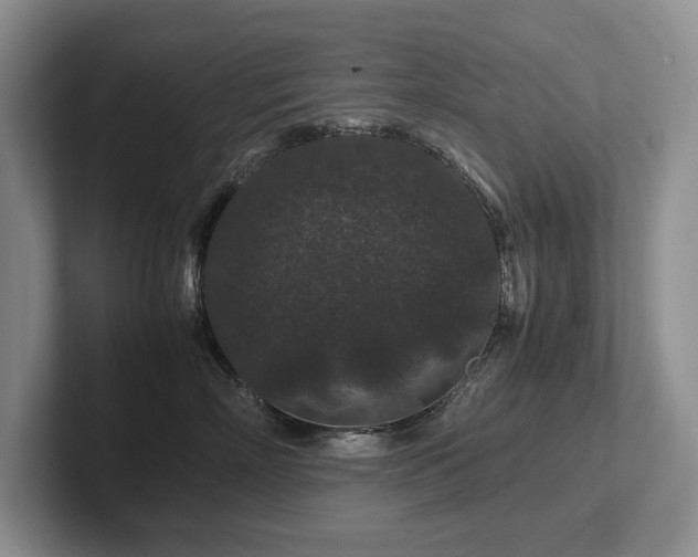 X0000102510718200808081410