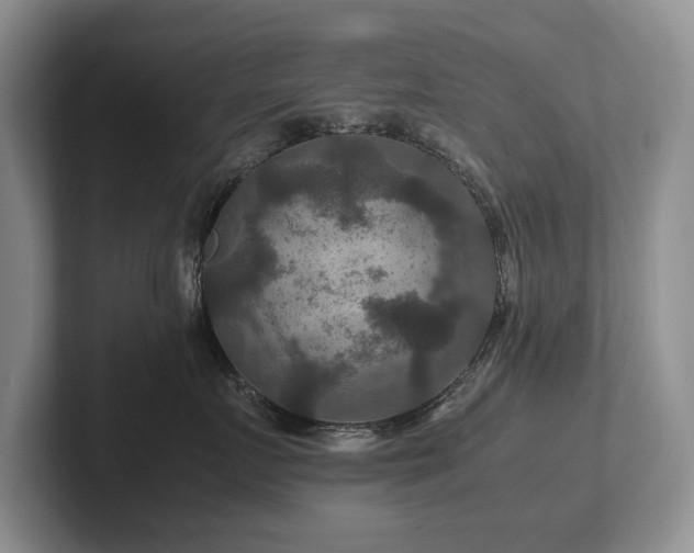 X0000102510719200808081410