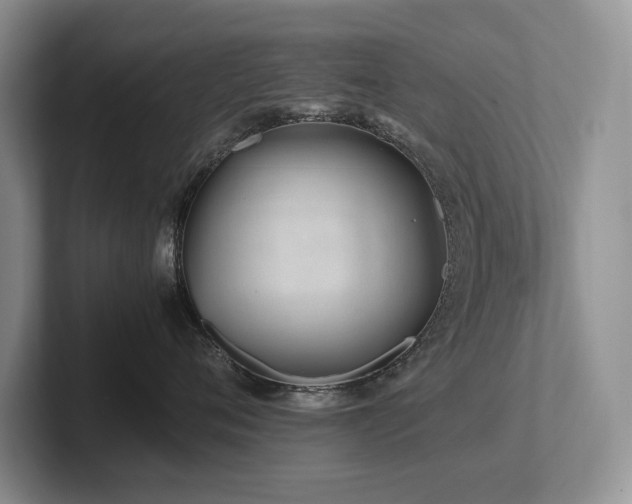 X0000102510720200808081410