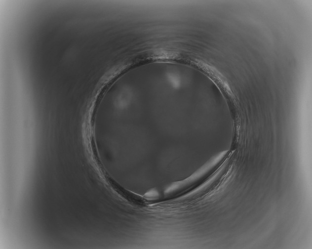 X0000102510721200808081409