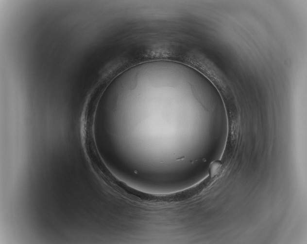 X0000102510722200808081409