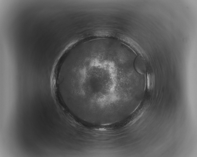 X0000102510723200808081409