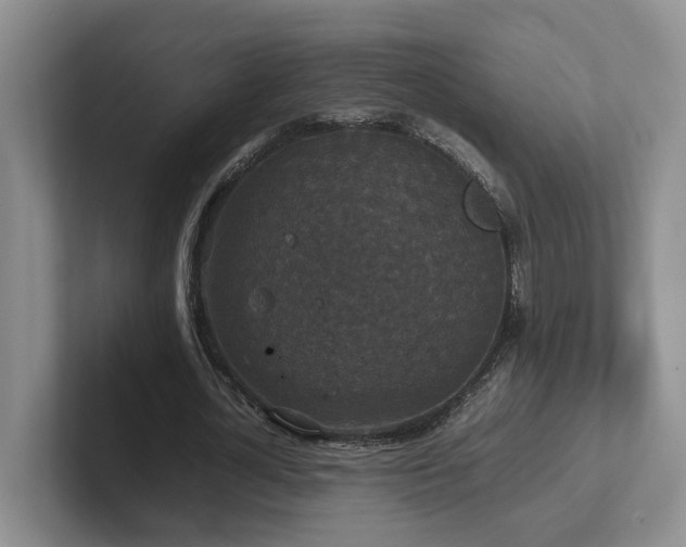 X0000102510724200808081409