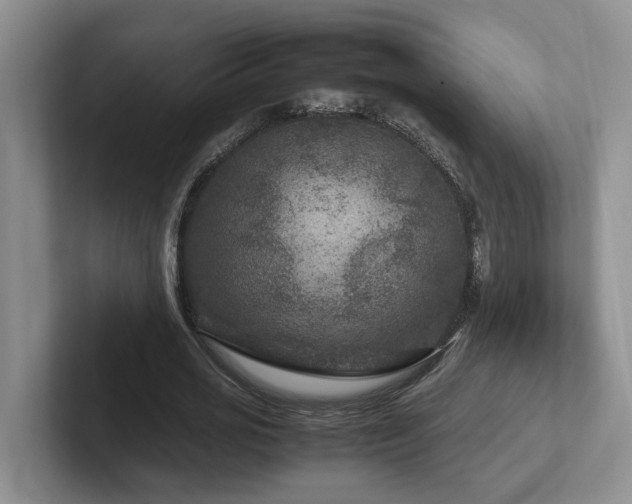 X0000102510725200808081409