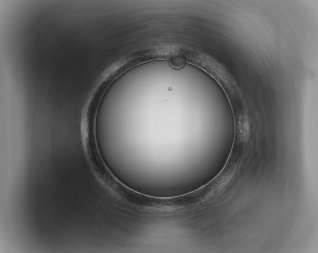 X0000102510726200808081409