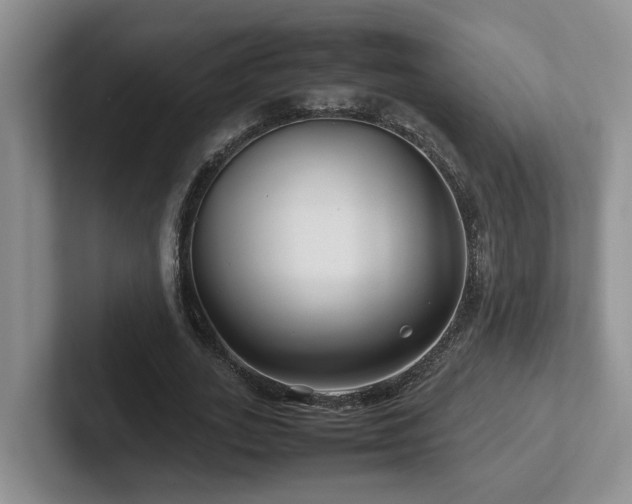 X0000102510727200808081409