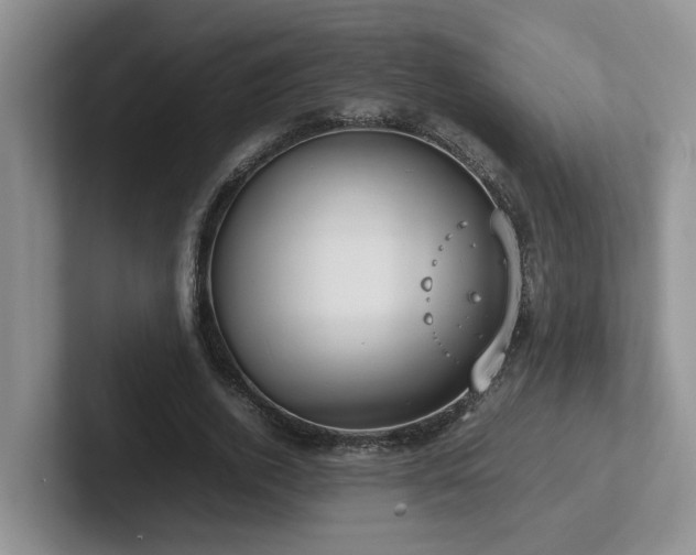 X0000102510728200808081409