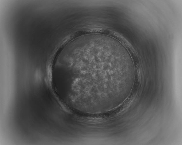 X0000102510729200808081409