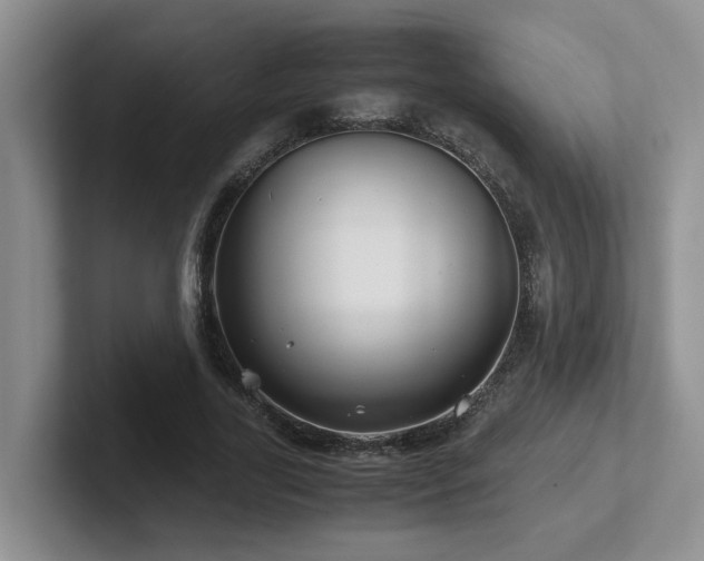 X0000102510731200808081409