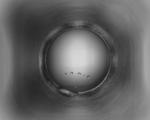 X0000102510732200808081409