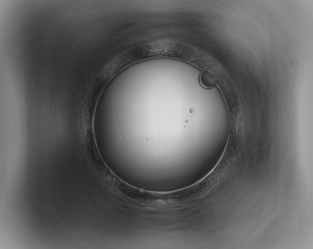 X0000102510737200808081409