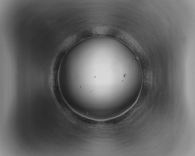 X0000102510738200808081409