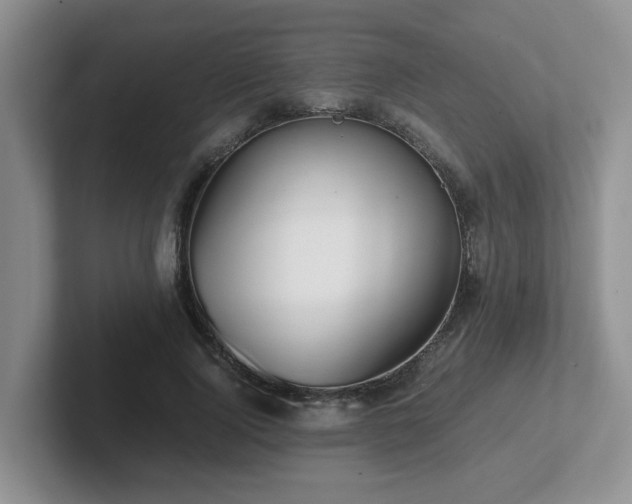 X0000102510740200808081409