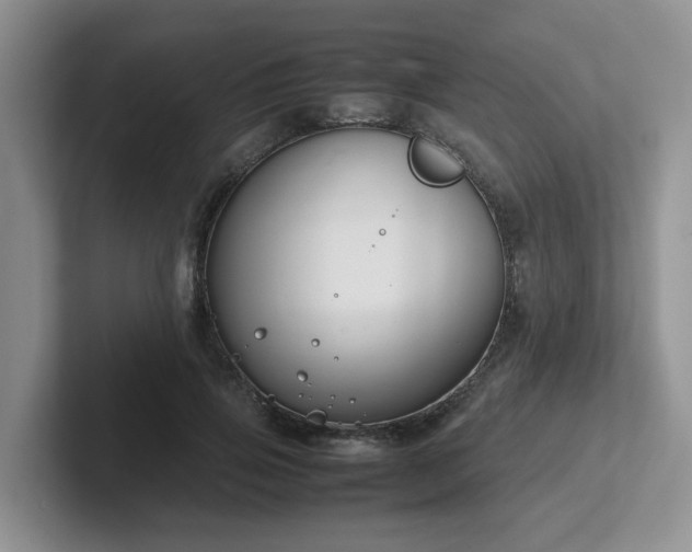 X0000102510741200808081410