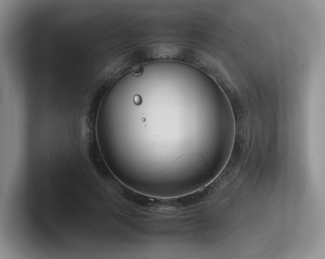 X0000102510743200808081410