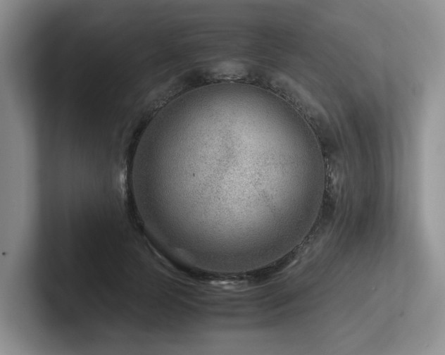 X0000102510745200808081410