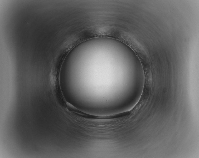 X0000102510746200808081410