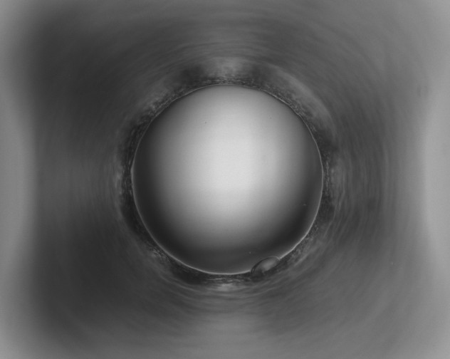 X0000102510750200808081410