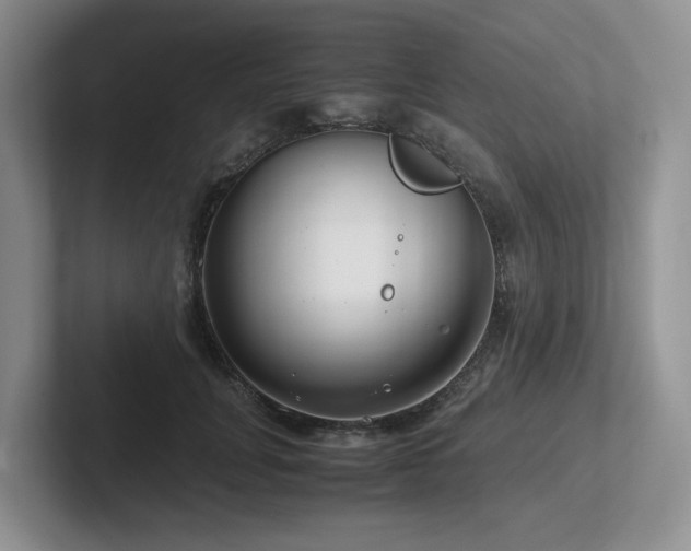 X0000102510751200808081410