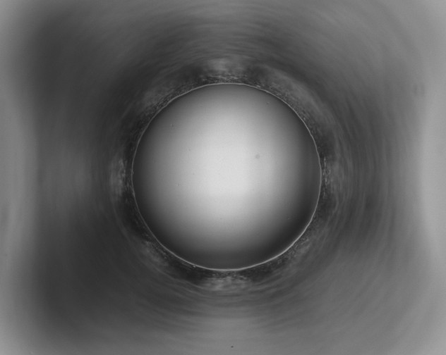 X0000102510752200808081410