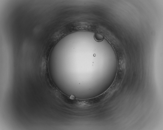 X0000102510753200808081410