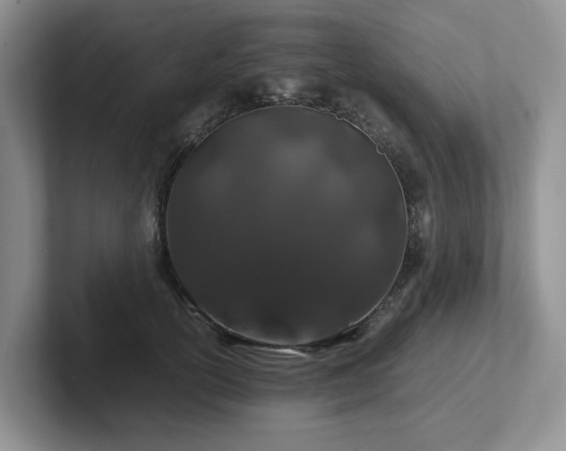 X0000102510754200808081410
