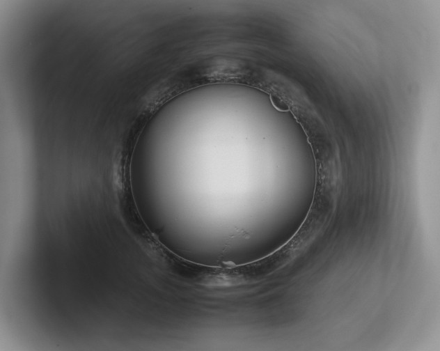X0000102510755200808081410