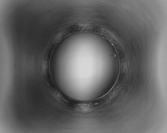 X0000102510756200808081410
