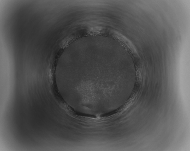 X0000102510759200808081410