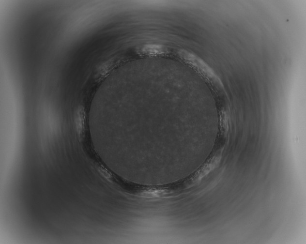 X0000102510760200808081410
