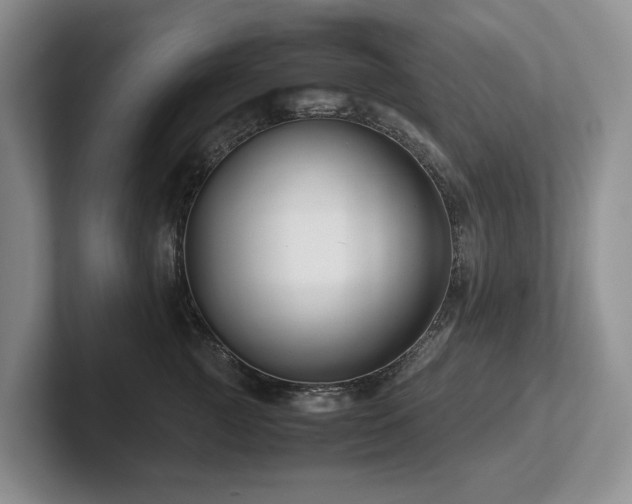 X0000102510761200808081410
