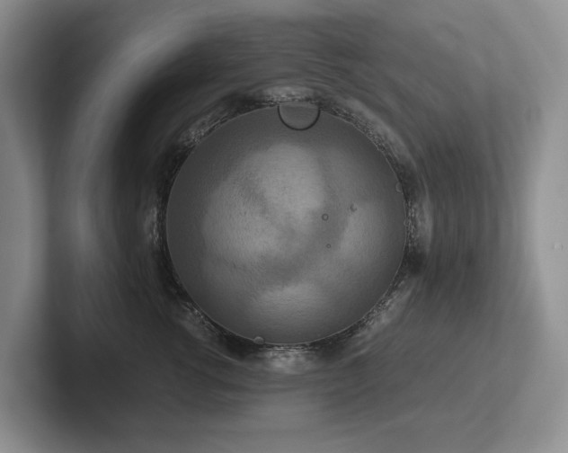 X0000102510762200808081410