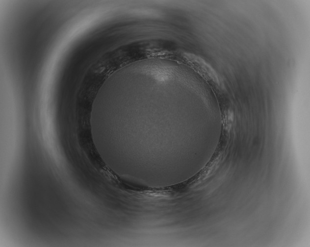 X0000102510763200808081410