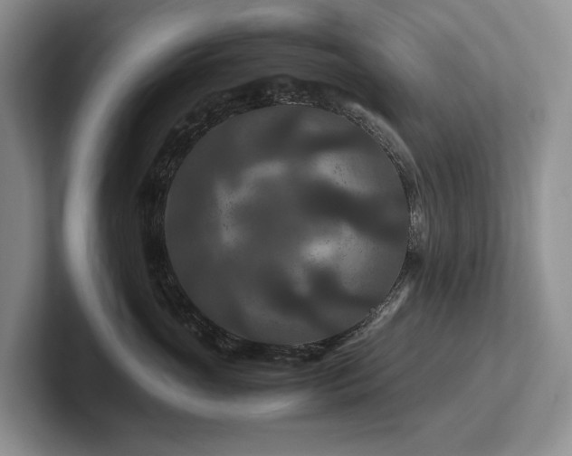 X0000102510765200808081410