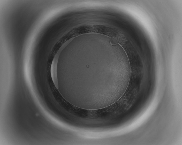 X0000102510766200808081410