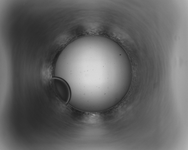 X0000102510768200808081410