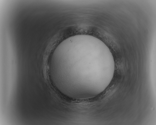 X0000102510769200808081409