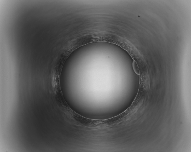 X0000102510770200808081409