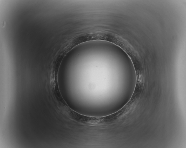 X0000102510771200808081409