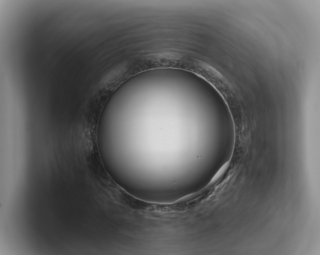 X0000102510774200808081409