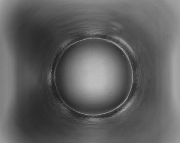 X0000102510777200808081409