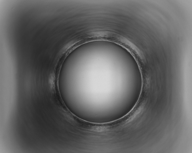 X0000102510778200808081409