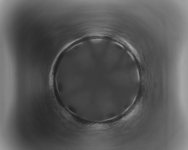 X0000102510779200808081409