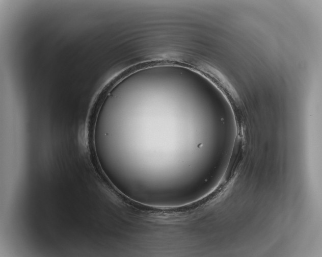 X0000102510780200808081409