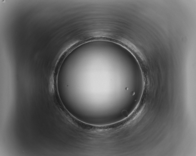 X0000102510782200808081409
